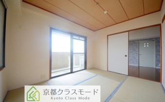 和6