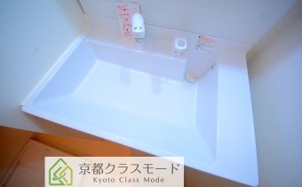 シャンプードレッサー