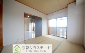 和6