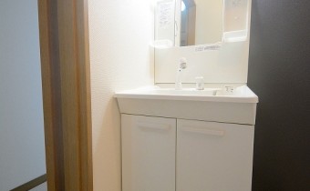 シャンプードレッサー
