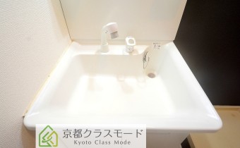 シャンプードレッサー