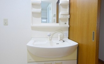 シャンプードレッサー