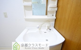 シャンプードレッサー