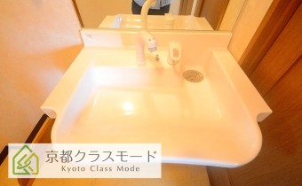 シャンプードレッサー