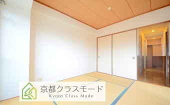 和6