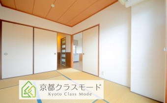 和6