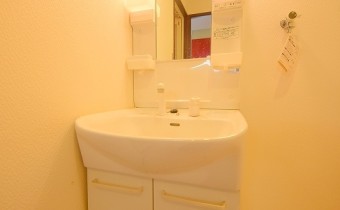 シャンプードレッサー