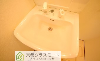 シャンプードレッサー