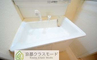 シャンプードレッサー