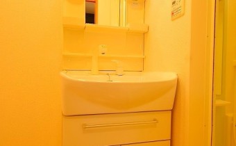 シャンプードレッサー