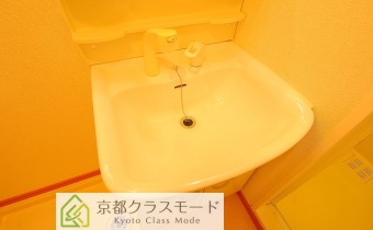 シャンプードレッサー