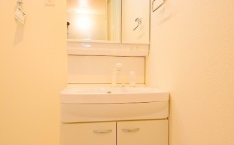 シャンプードレッサー