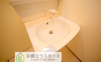 シャンプードレッサー