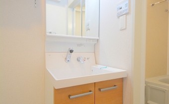 シャンプードレッサー