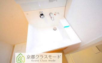 シャンプードレッサー