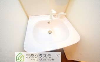 シャンプードレッサー