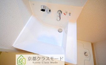 シャンプードレッサー
