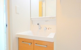 シャンプードレッサー