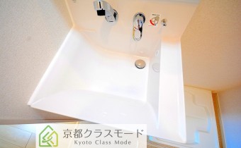 シャンプードレッサー