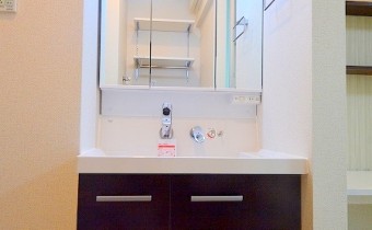 シャンプードレッサー