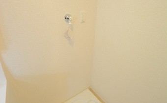 室内洗濯機置場