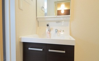 シャンプードレッサー