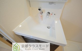 シャンプードレッサー