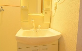 シャンプードレッサー