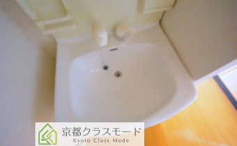 シャンプードレッサー