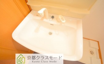 シャンプードレッサー