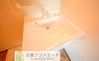シャンプードレッサー