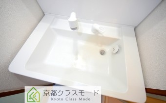 シャンプードレッサー