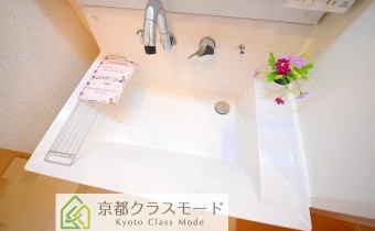 シャンプードレッサー