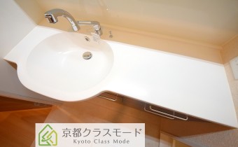 シャンプードレッサー