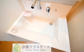 シャンプードレッサー