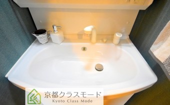 シャンプードレッサー