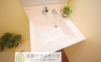 シャンプードレッサー