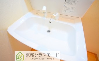 シャンプードレッサー