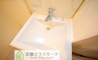 シャンプードレッサー