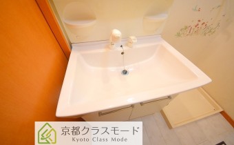 シャンプードレッサー