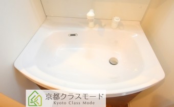 シャンプードレッサー