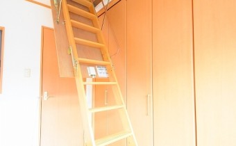 屋根裏収納へのハシゴ