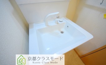 シャンプードレッサー