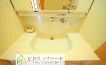 シャンプードレッサー