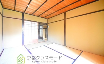 和6