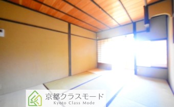 和6