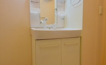 シャンプードレッサー