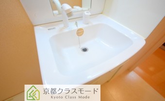シャンプードレッサー