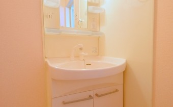 シャンプードレッサー