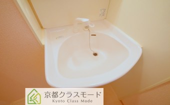 シャンプードレッサー